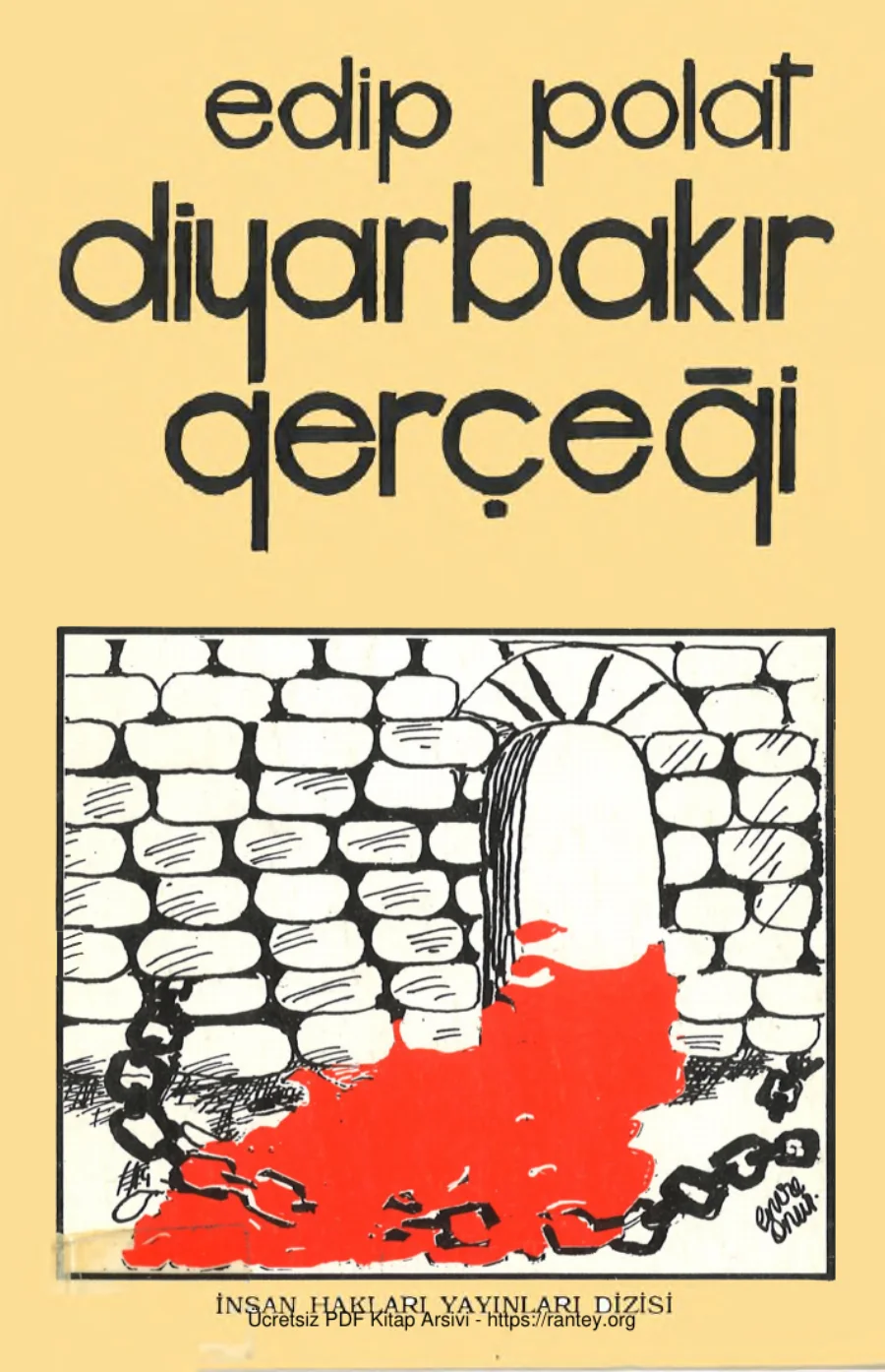 Diyarbakır Gerçeği kapak görseli