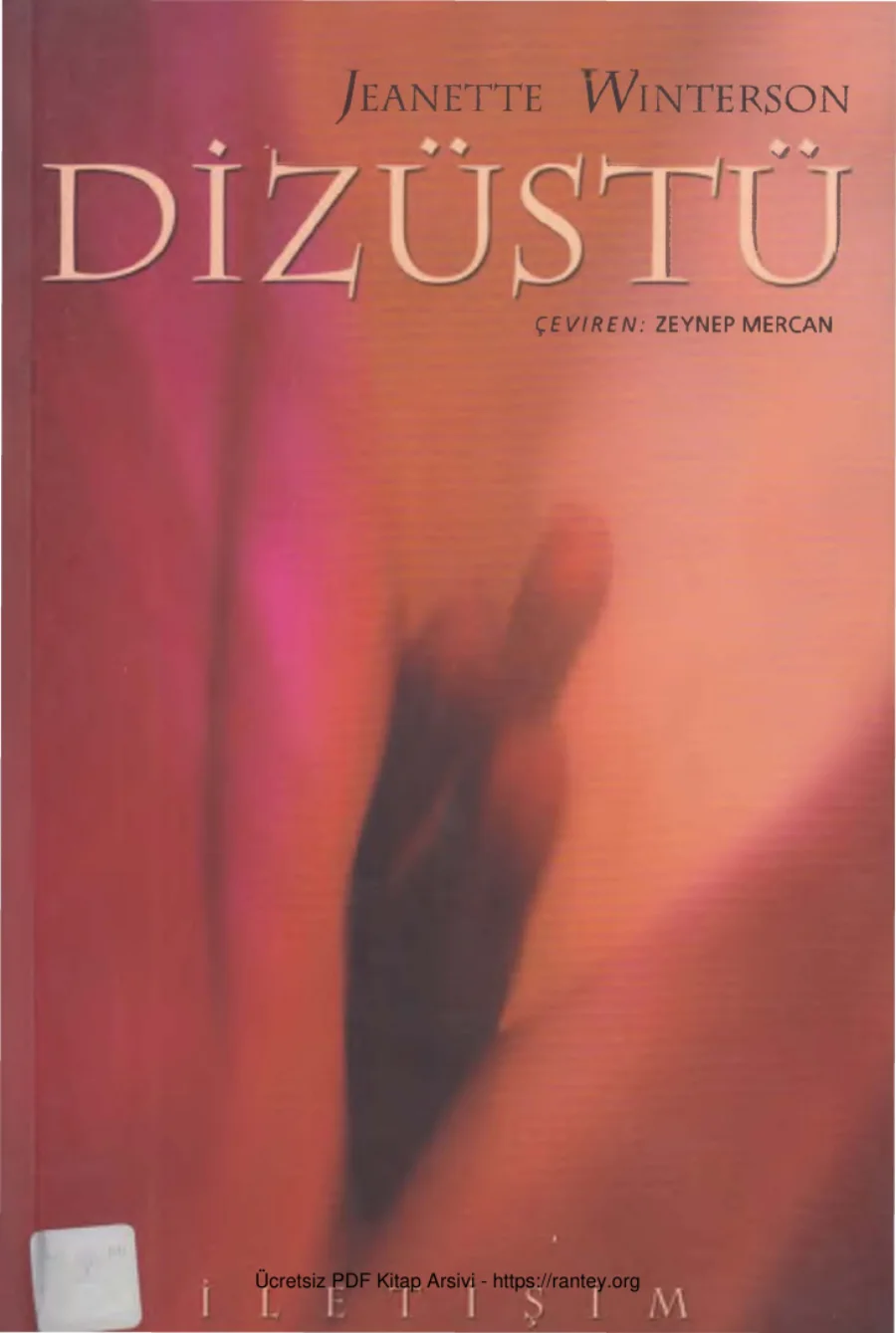 Dizüstü kapak görseli