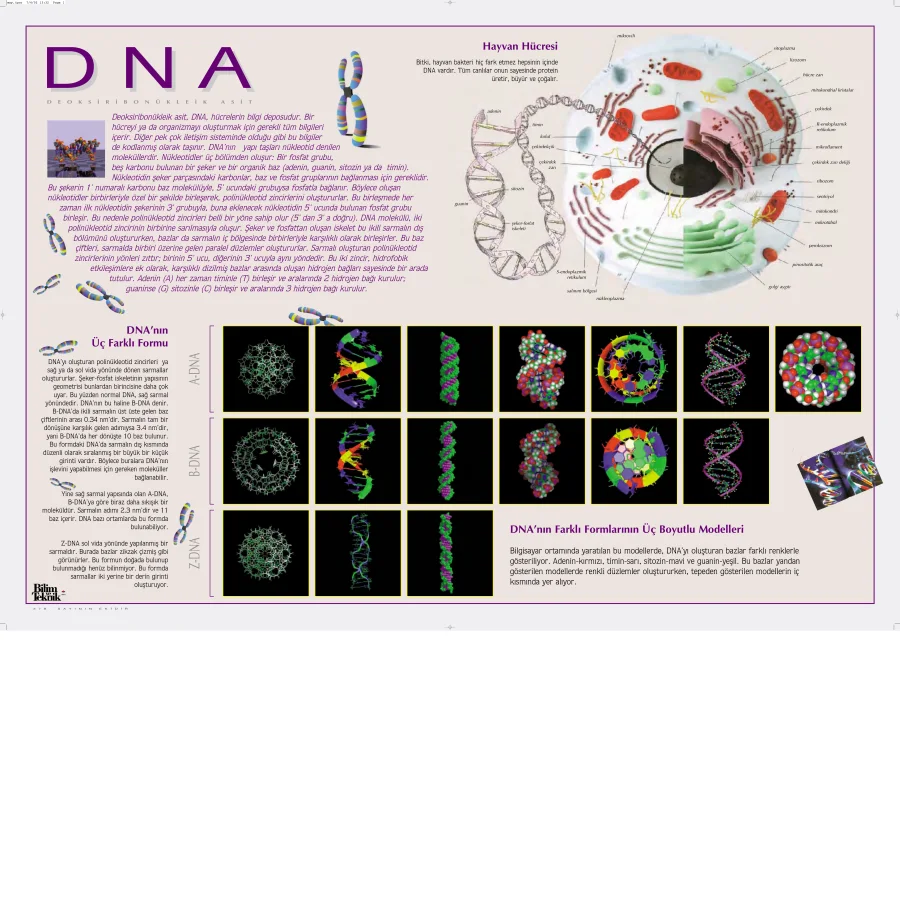 DNA ve Genetik Mühendisliği PDF kapak görseli