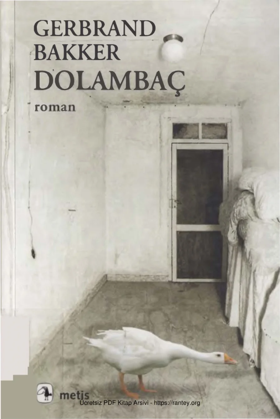 Dolambaç kapak görseli