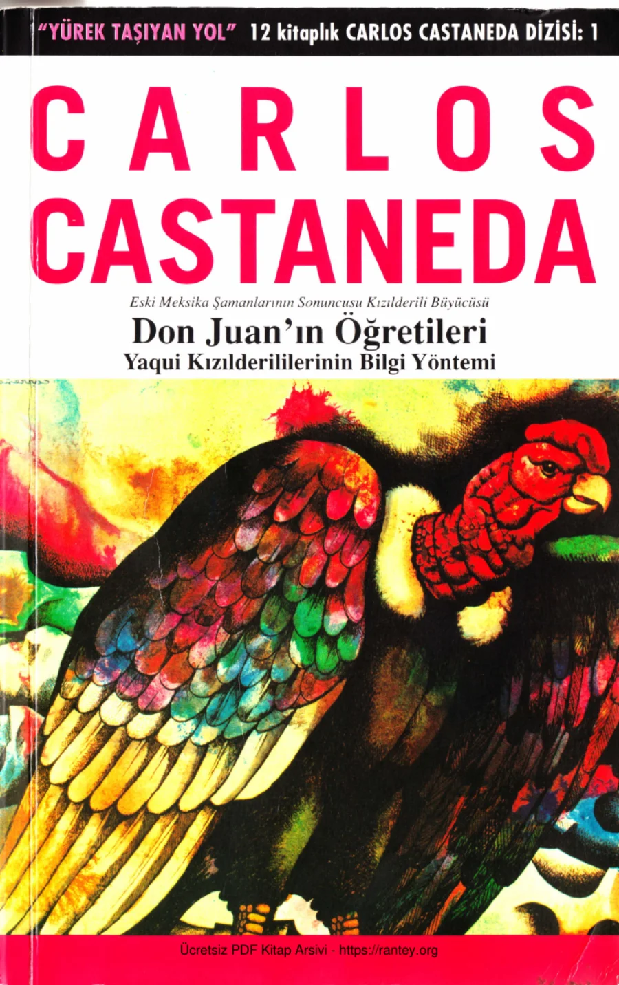 Don Juan ın Öğretileri1 kapak görseli