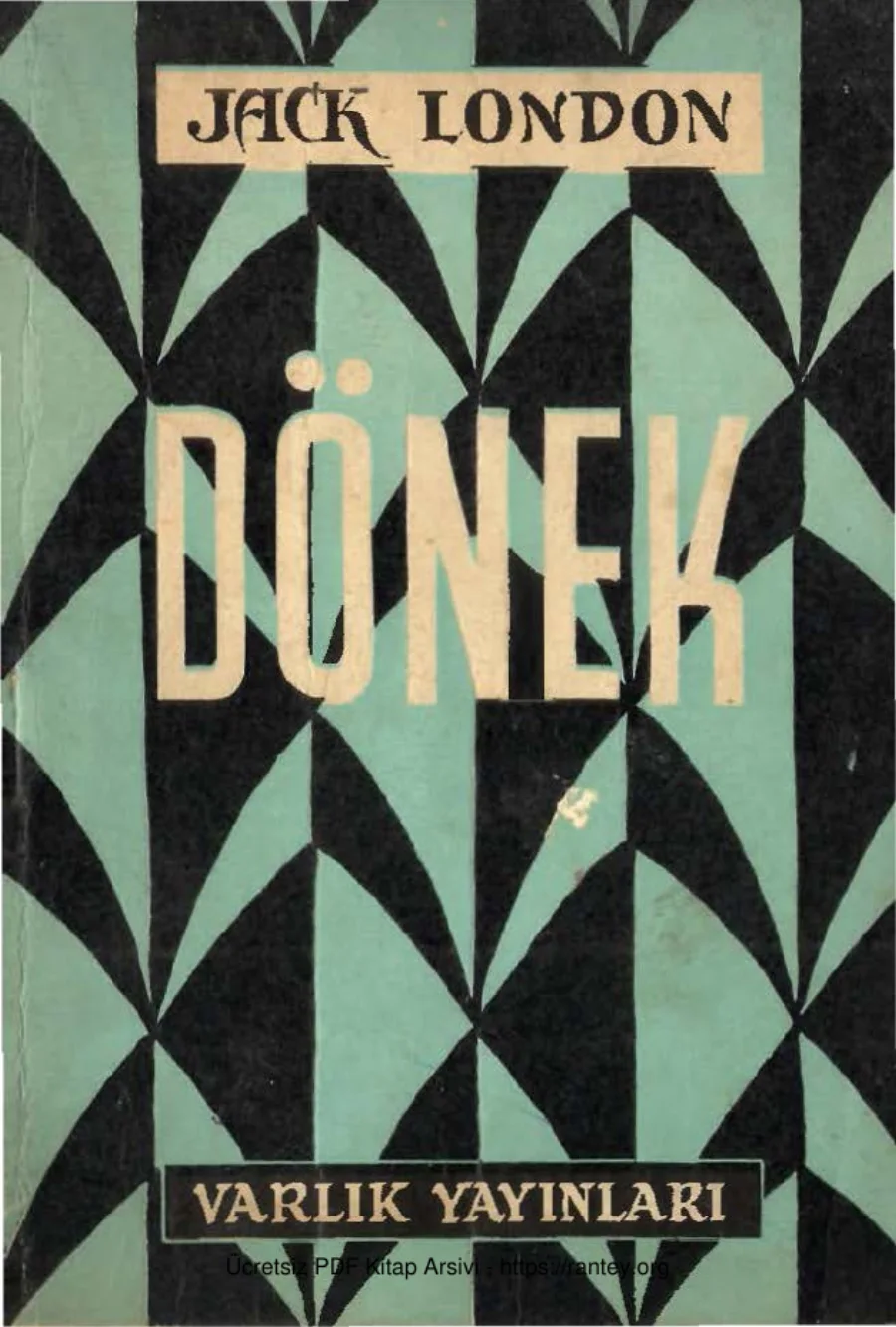 Dönek kapak görseli