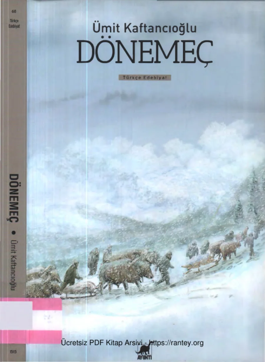 Dönemeç kapak görseli