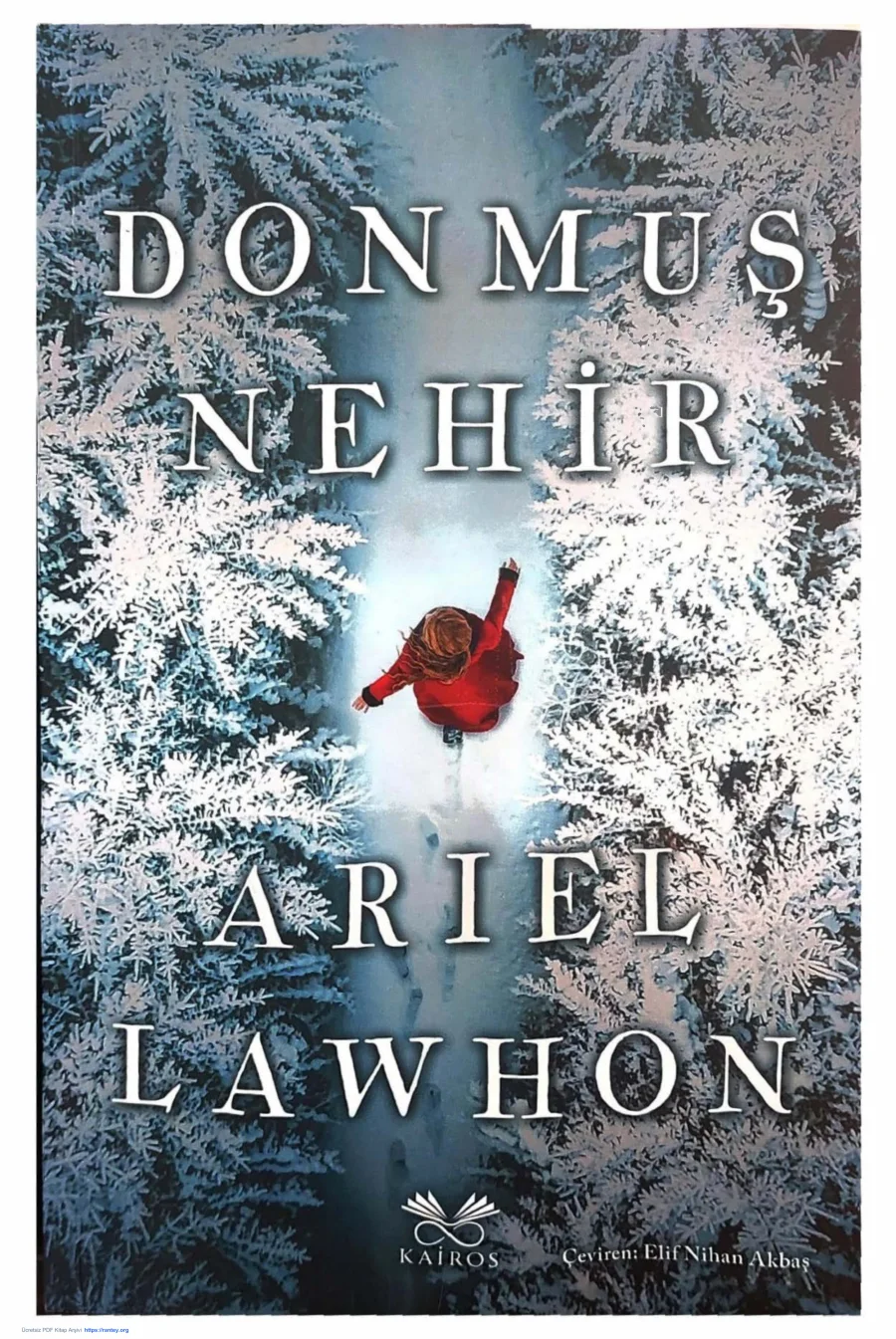 Donmuş Nehir kapak görseli