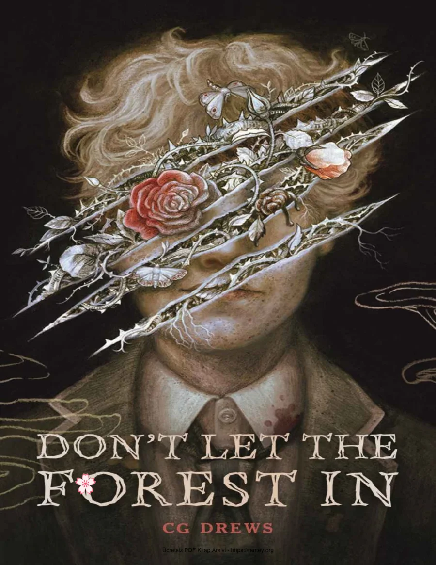 Dont Let the Forest In kapak görseli
