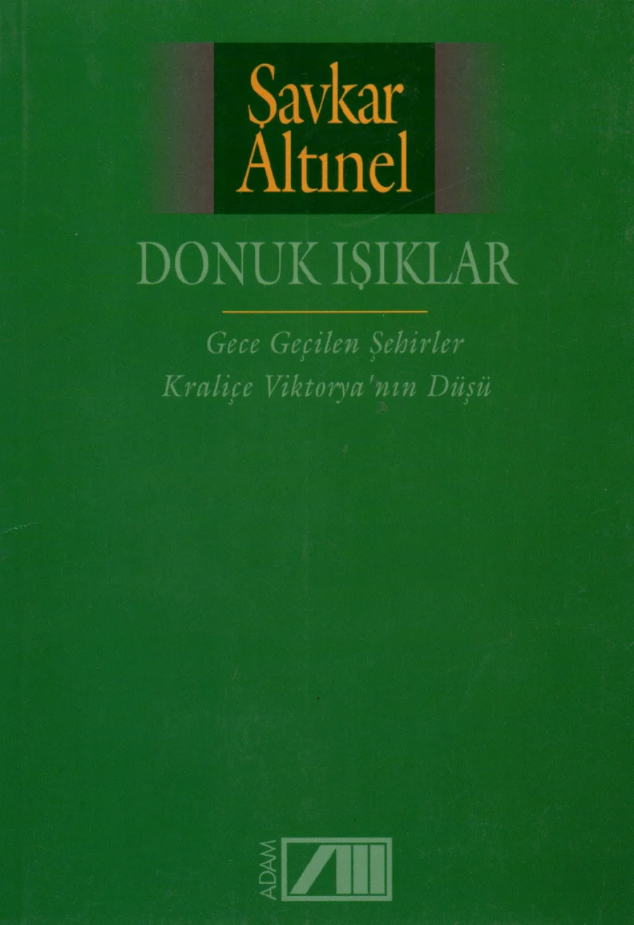 Donuk Işıklar kapak görseli