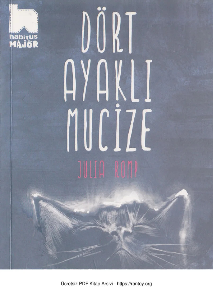 Dört Ayaklı Mucize kapak görseli