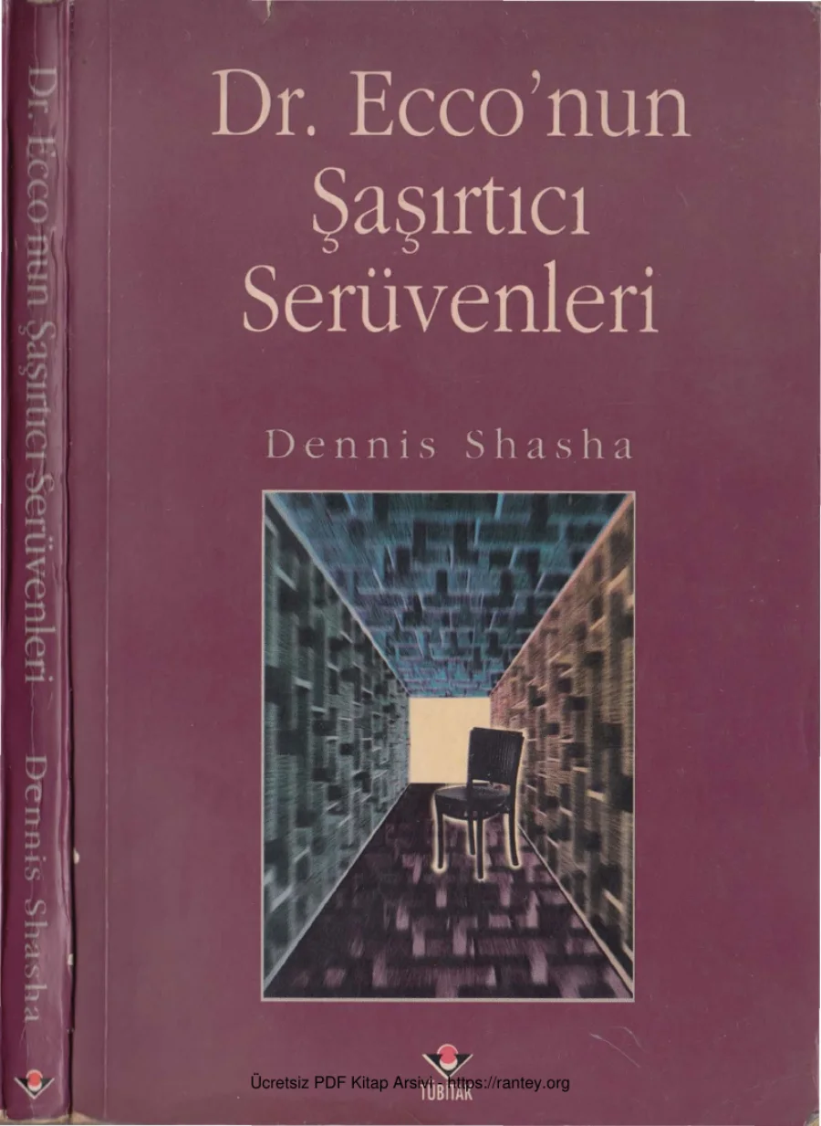 Dr Ecconun Şaşırtıcı Serüvenleri kapak görseli