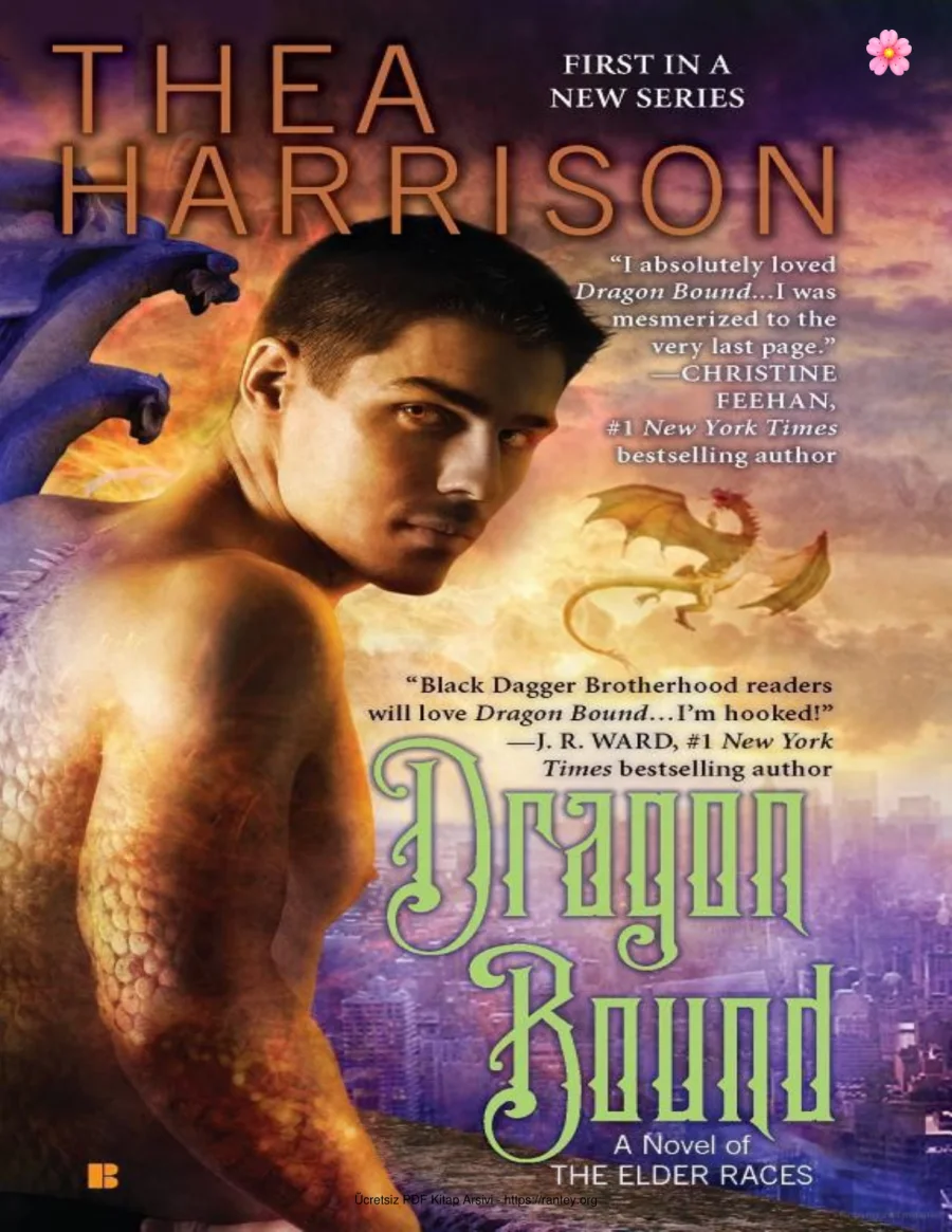 Dragon Bound kapak görseli
