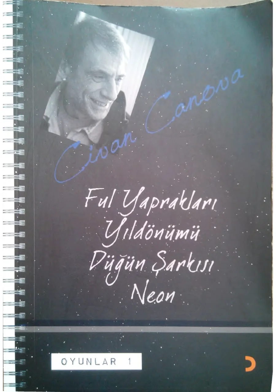 Düğün Şarkısı kapak görseli