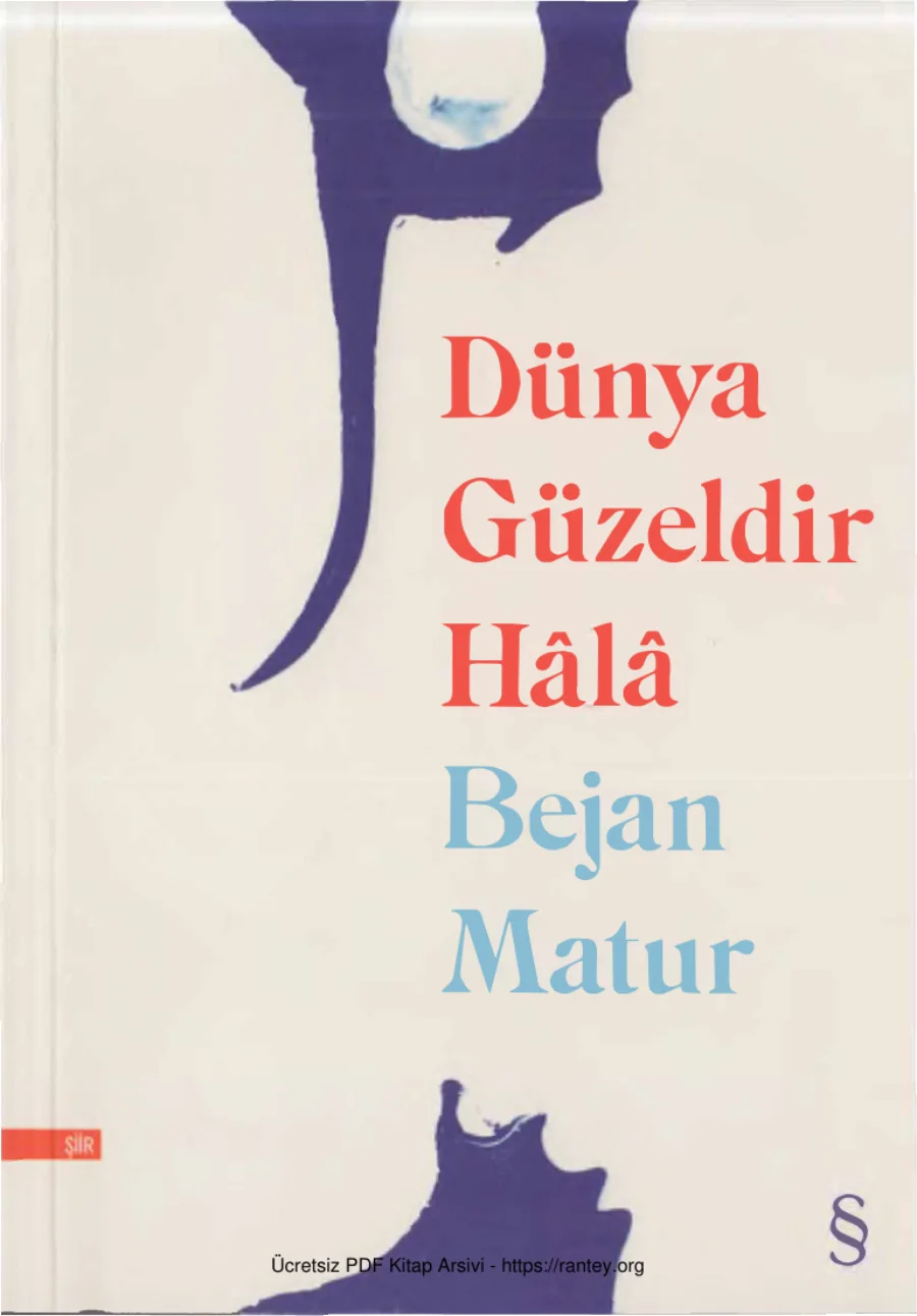 Dünya Güzeldir Hala kapak görseli