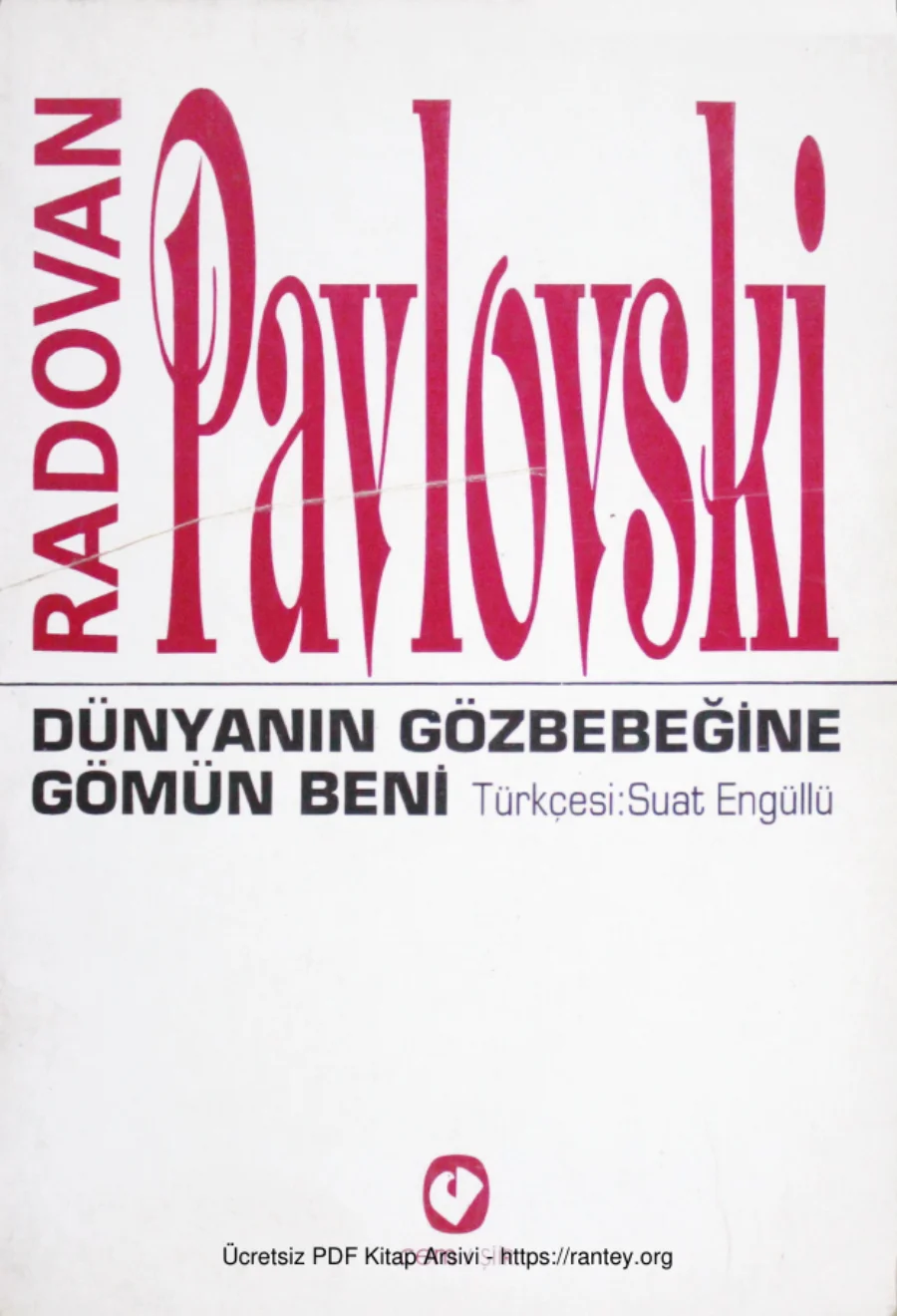Dünyanın Gözbebeğine Gömün Beni kapak görseli