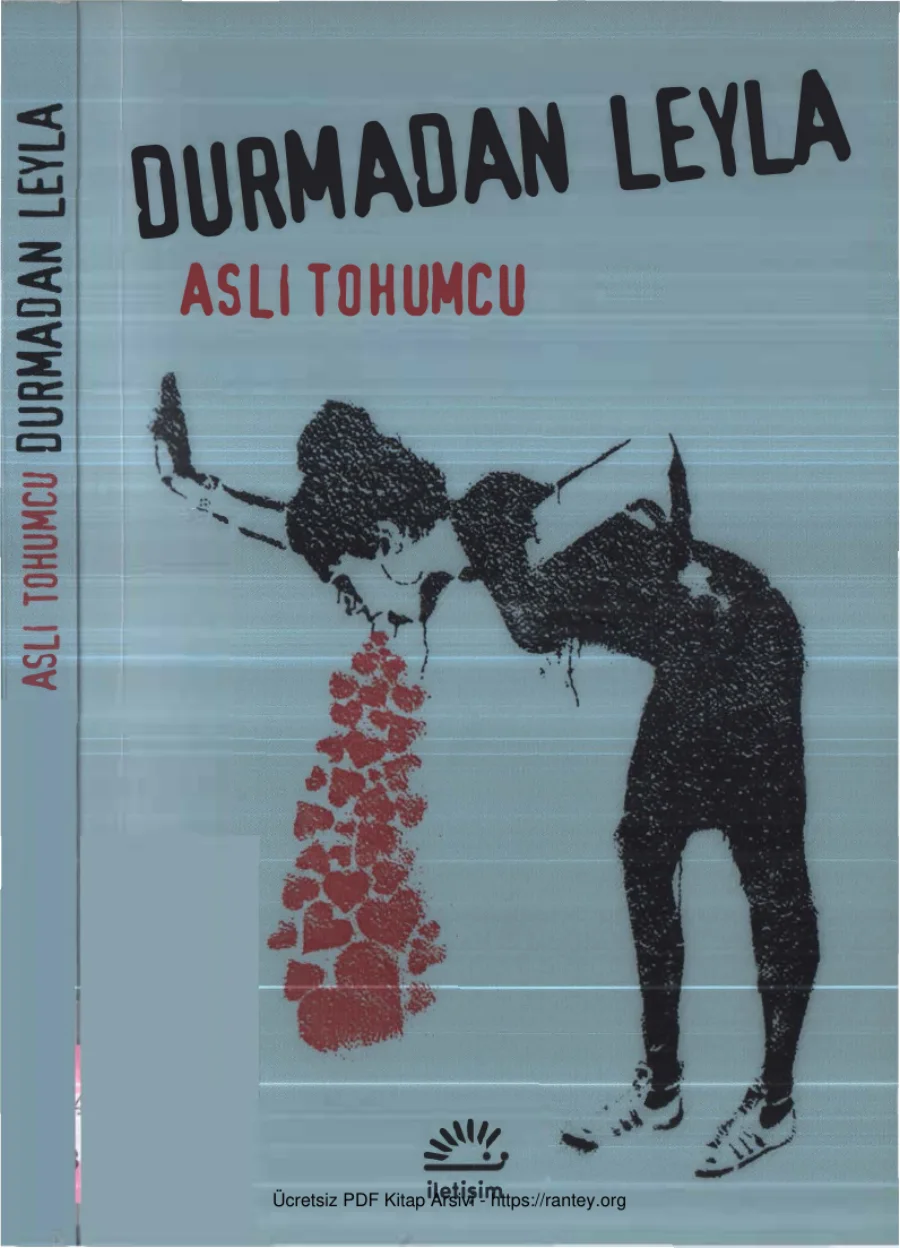Durmadan Leyla kitap kapağı