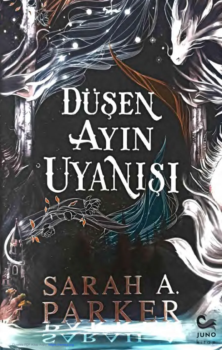 Düşen Ayın Uyanışı kapak görseli