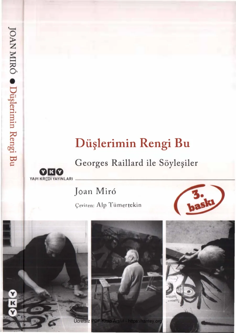 Düşlerimin Rengi Bu Georges Raillard ile Söyleşiler kapak görseli