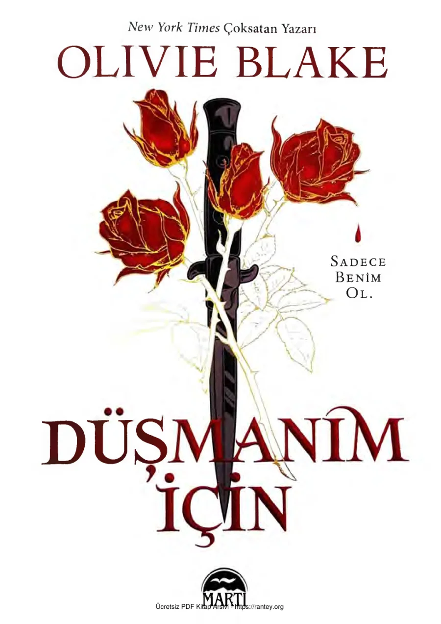 Düşmanım için Olivie Blake kapak görseli