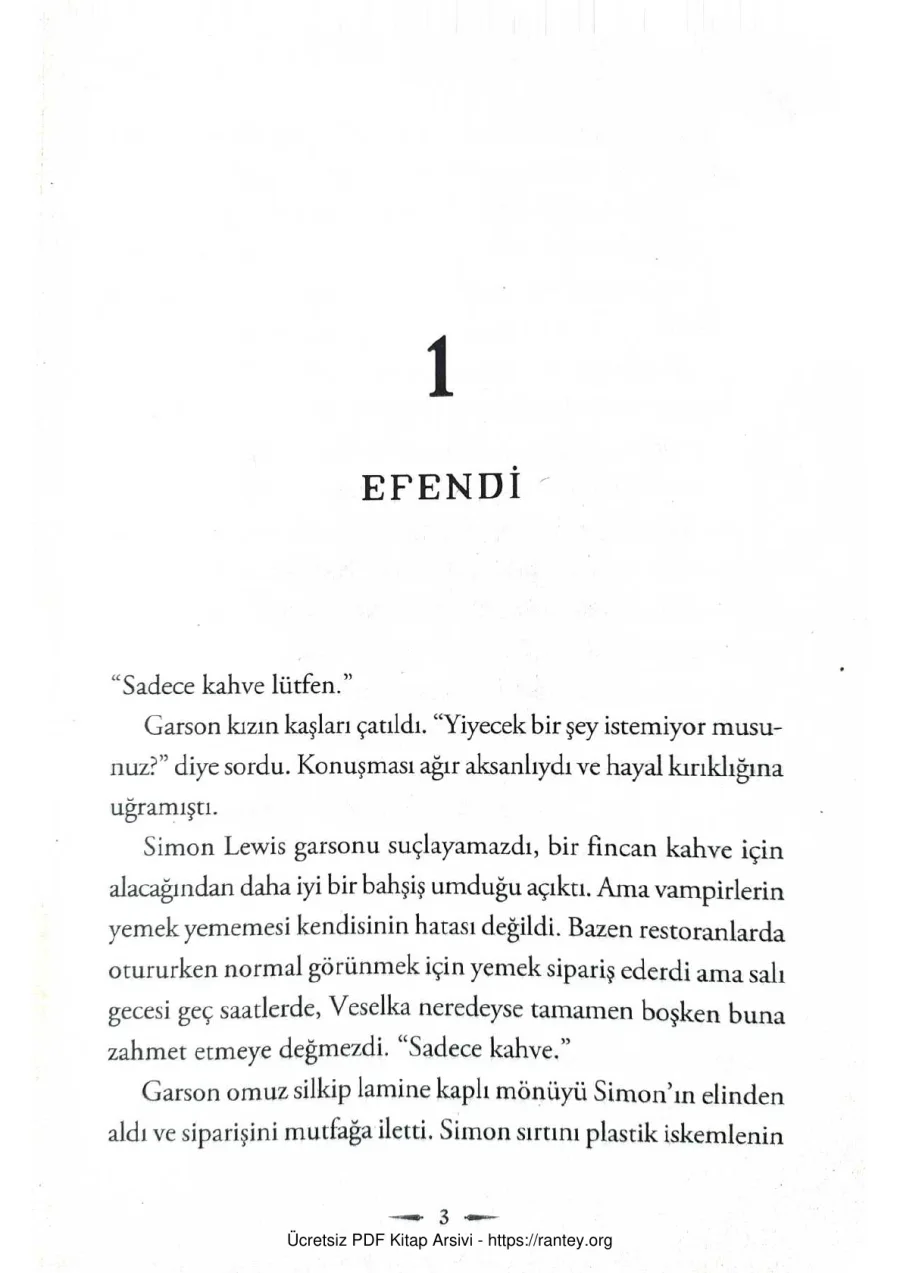 Düşmüş Melekler Şehri kapak görseli