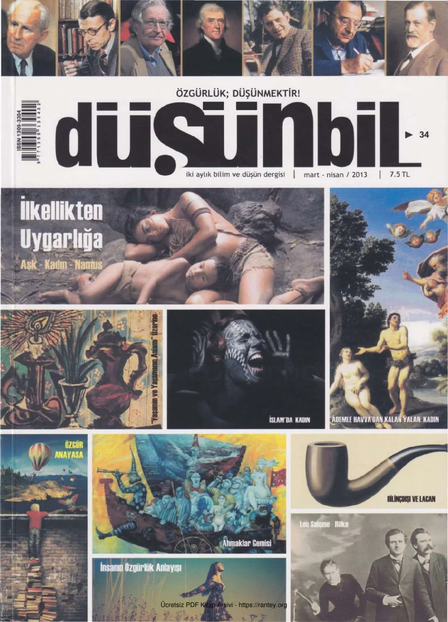 Düşünbil Sayı 034 Mart Nisan 2013 kapak görseli