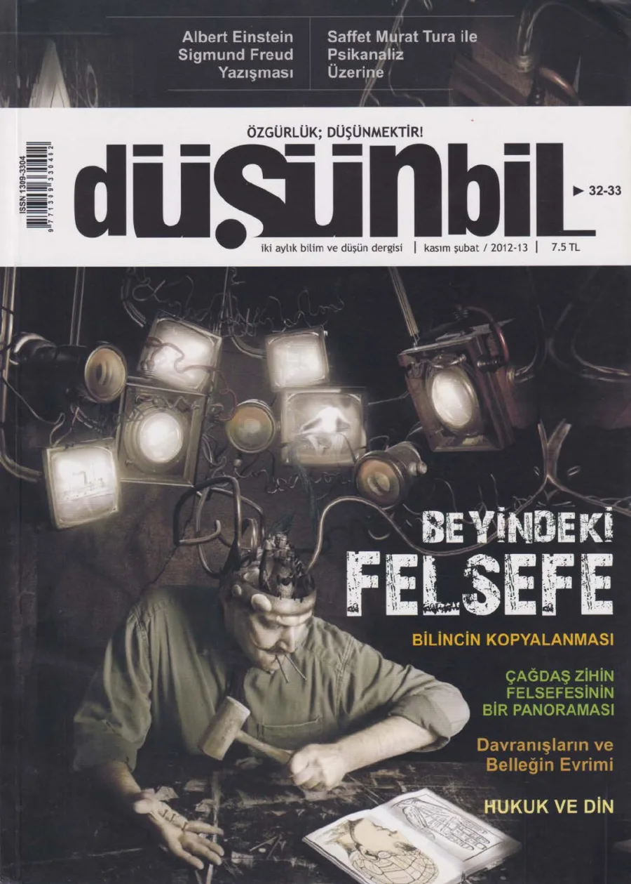 Düşünbil Sayı 32-33 Şubat 2013 PDF kapak görseli