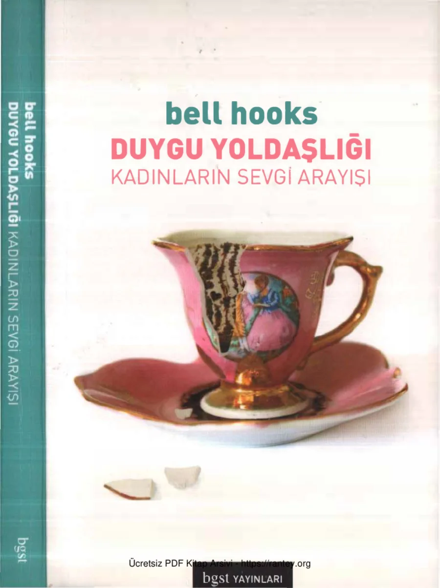 Duygu Yoldaşlığı Kadınların Sevgi Arayışı kapak görseli