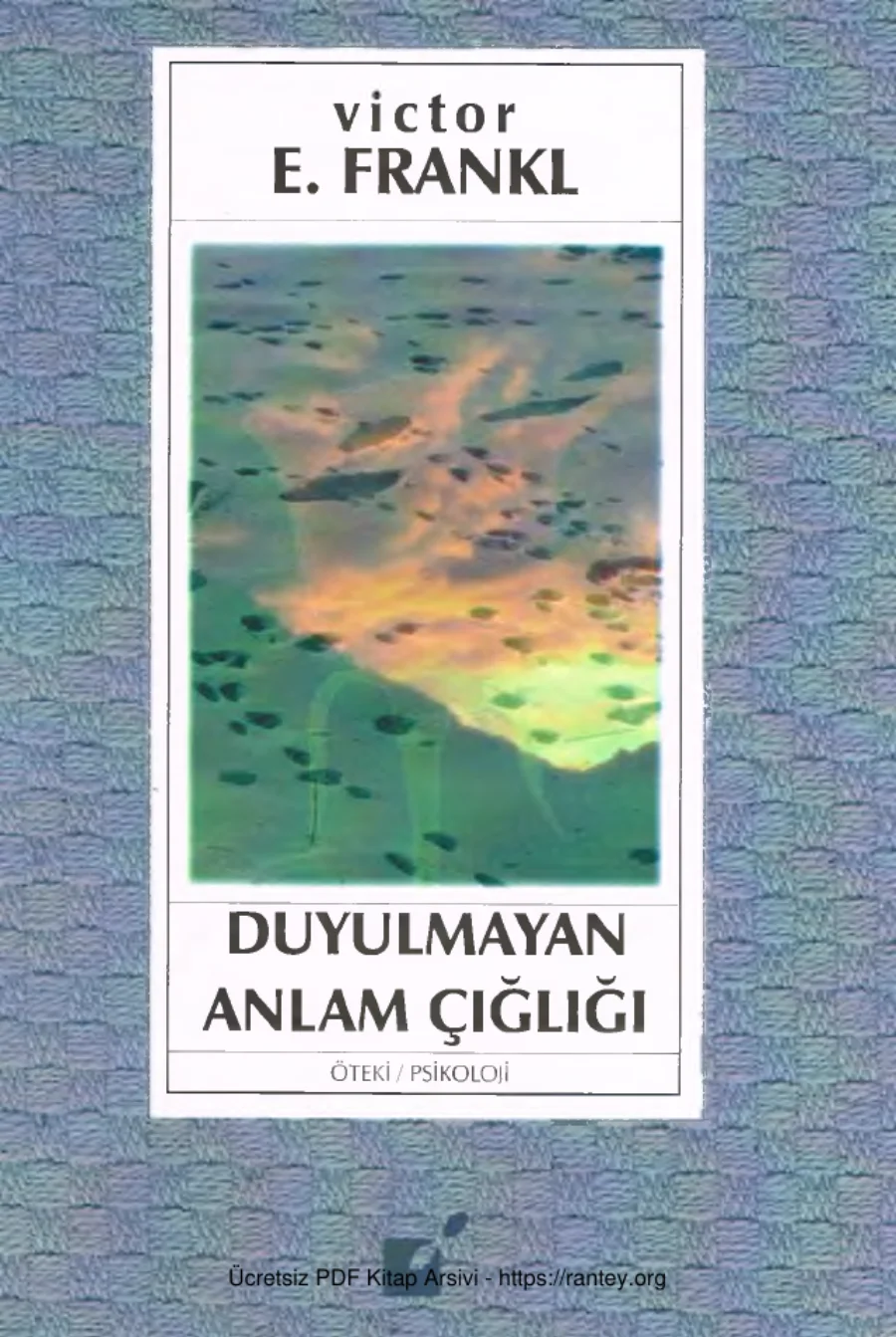 Duyulmayan Anlam Çığlığı kapak görseli