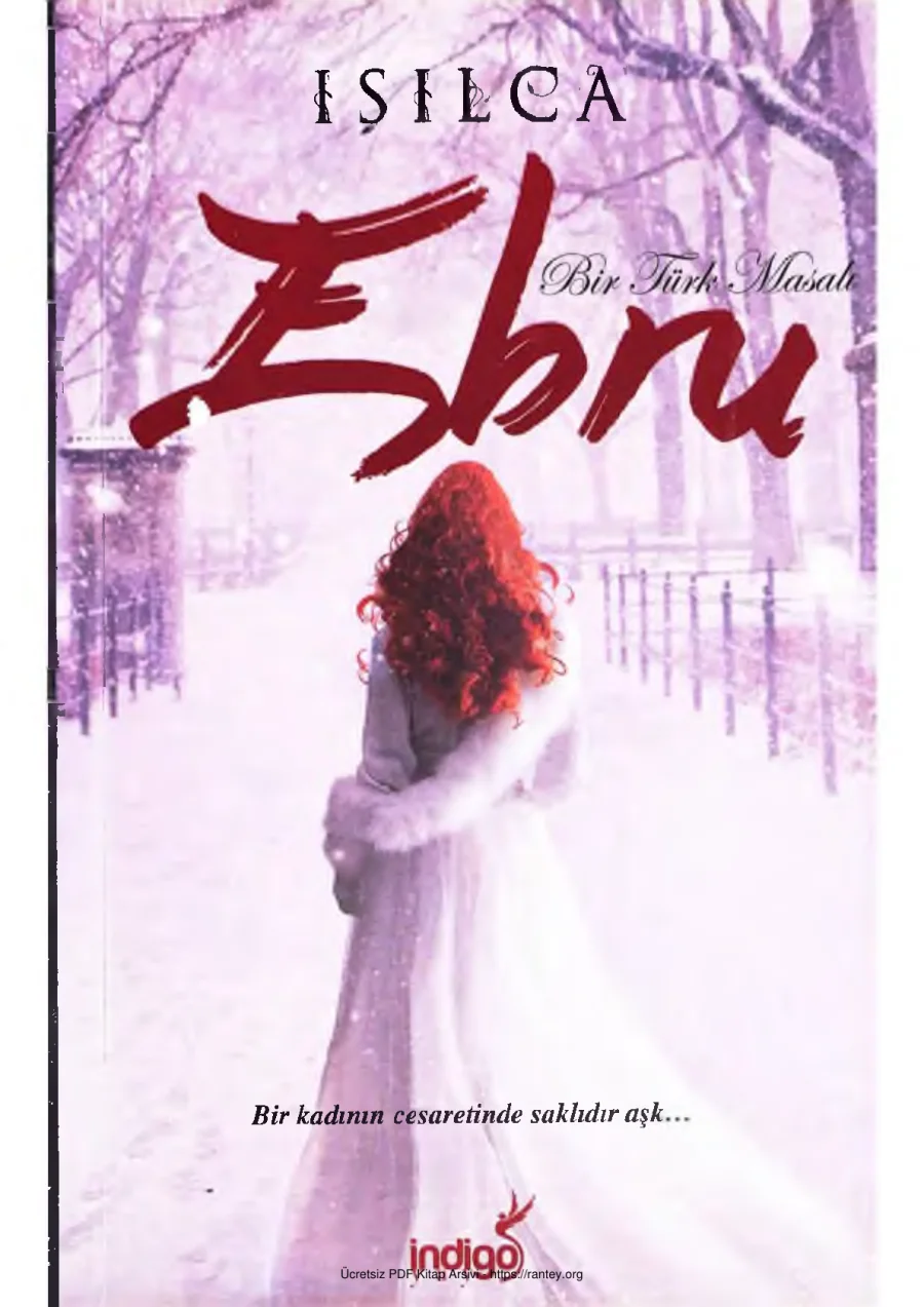 Ebru kapak görseli