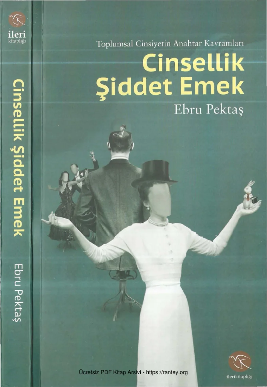 Ebru Pektaş Cinsellik Şiddet Emek İleri Kitaplığı kapak görseli