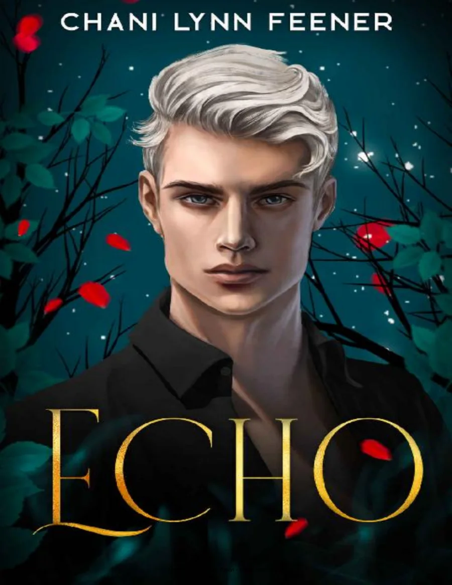 Echo kapak görseli