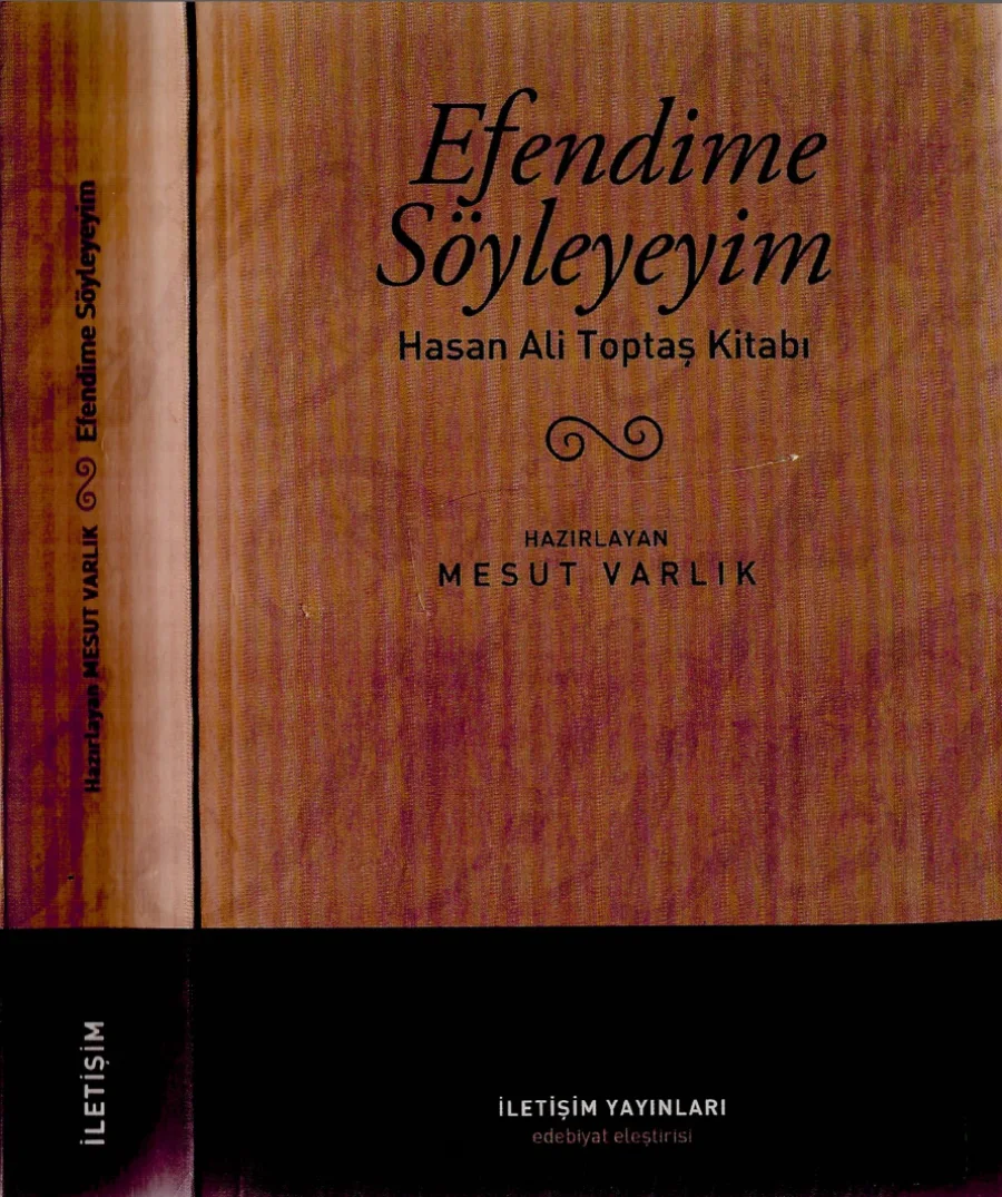 Efendime Söyleyeyim Hasan Ali Toptaş Kitabı kapak görseli