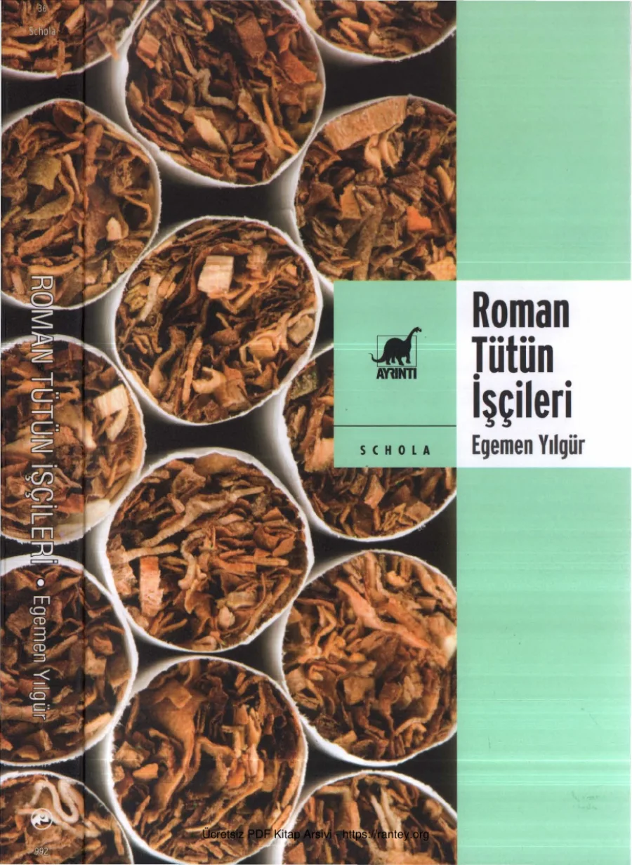 Egemen Yılgür Roman Tütün İşçileri kapak görseli