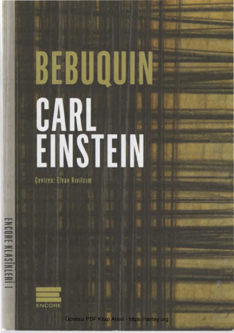 Einstein Bebuquin kapak görseli