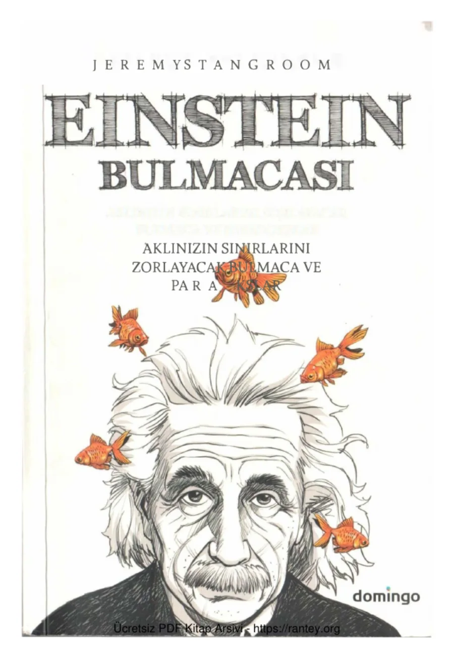 Einstein Bulmacası kapak görseli