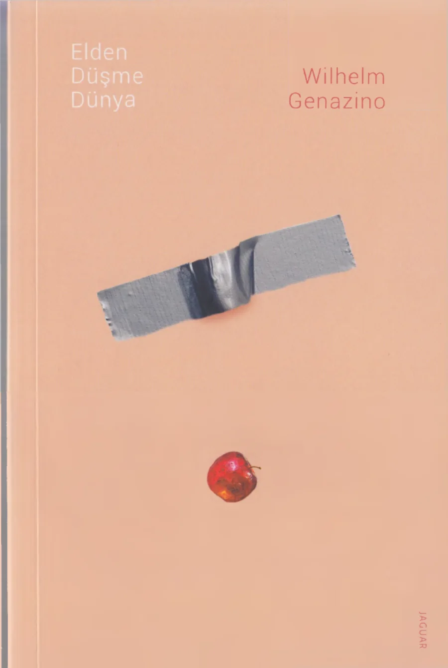 Elden Düşme Dünya PDF kapak görseli