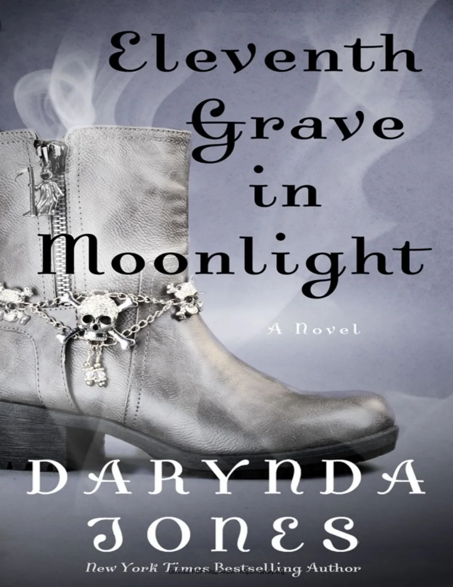Eleventh Grave in Moonlight kapak görseli