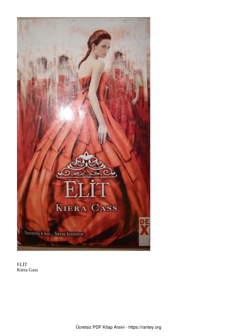 Elit The Selection 2 kapak görseli