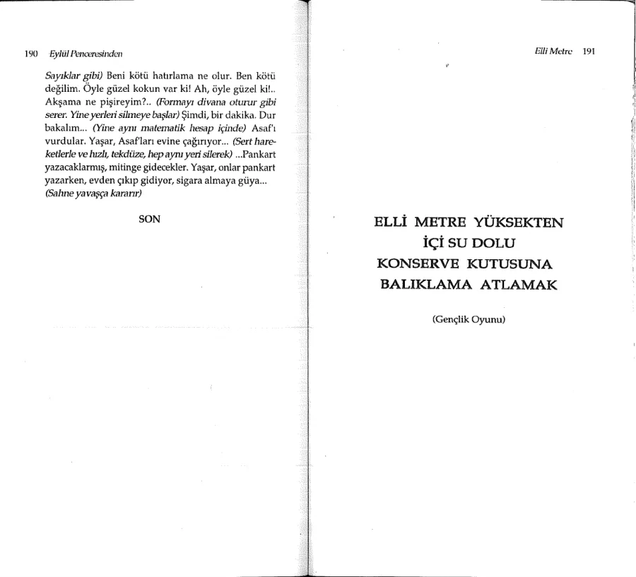 Elli Metre Yüksekten İçi Su Dolu Konserve Kutusuna Balıklama Atlamak kapak görseli