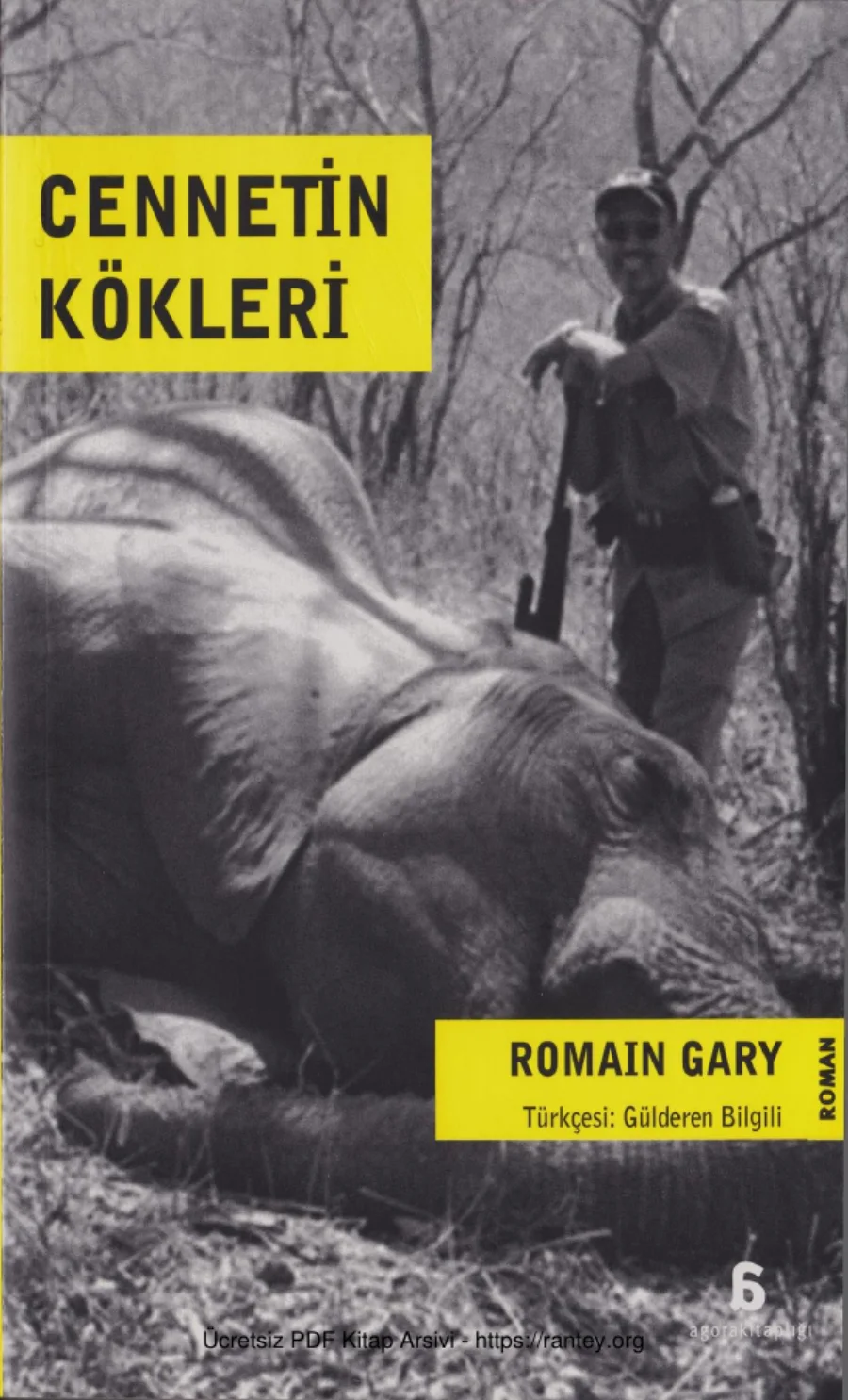 Emile Ajar Cennetin Kökleri kapak görseli