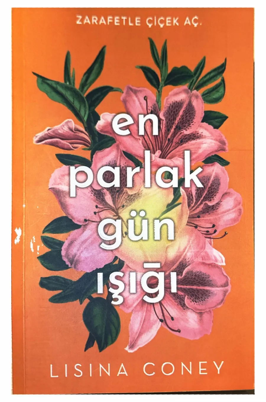 En Parlak Gün Işığı kapak görseli