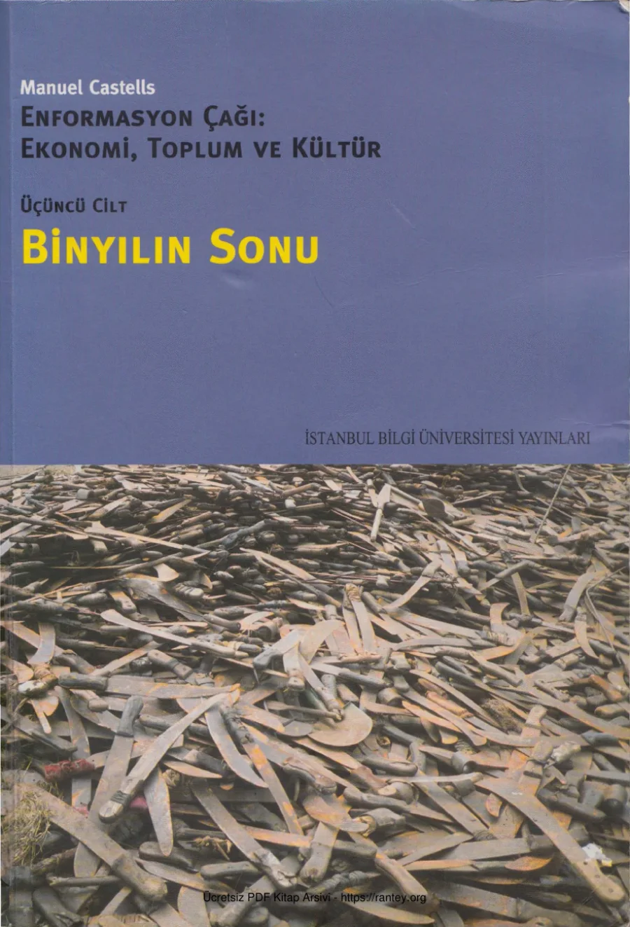 Enformasyon Çağı Ekonomi Toplum ve Kültür 3 Cilt Binyılın Sonu kapak görseli