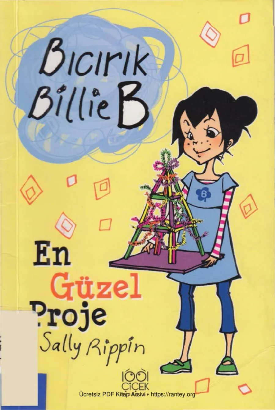 EnGuzelProjecs kapak görseli