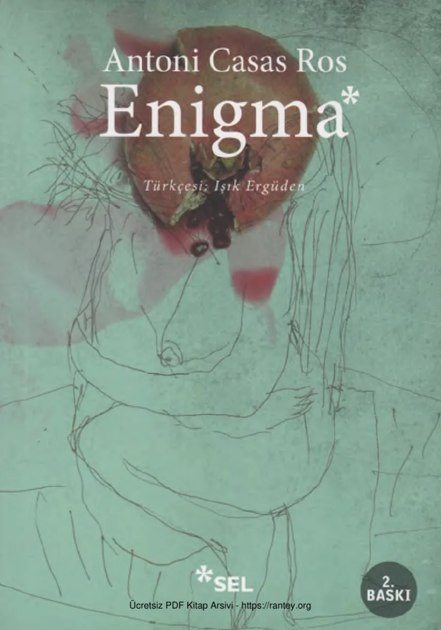Enigma kapak görseli