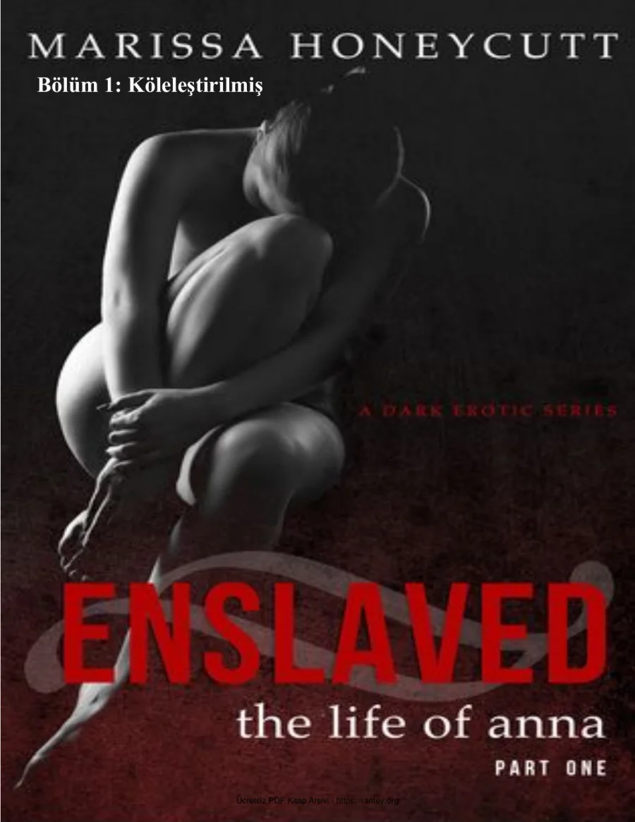 Enslaved kapak görseli