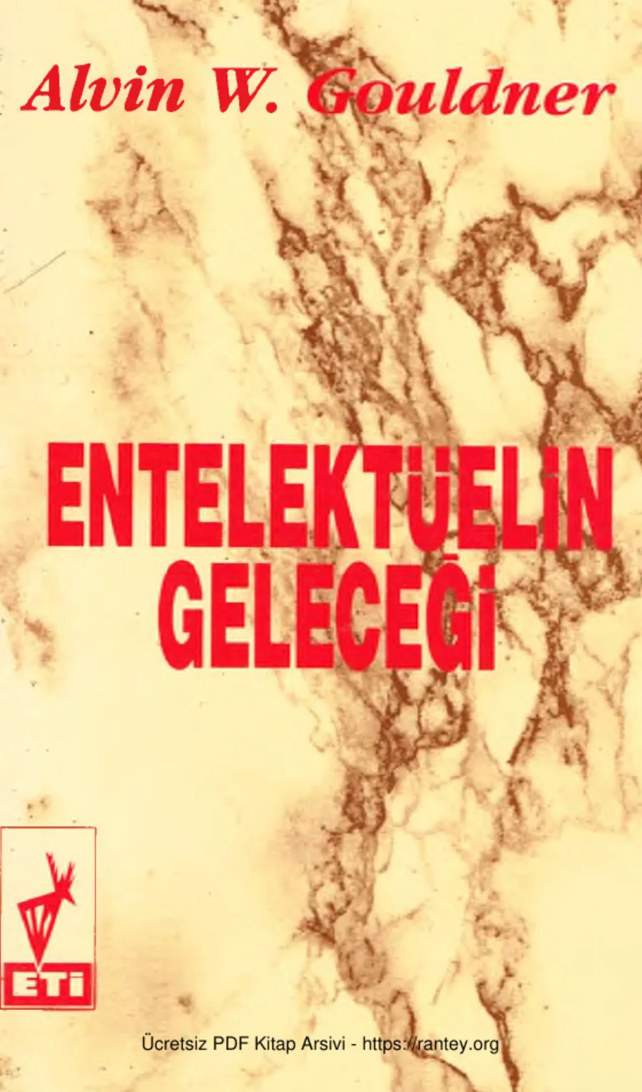Entelektüelin Geleceği kapak görseli