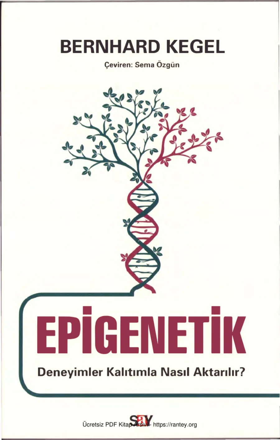 Epigenetik Deneyimler Kalıtımla Nasıl Aktarılır kapak görseli