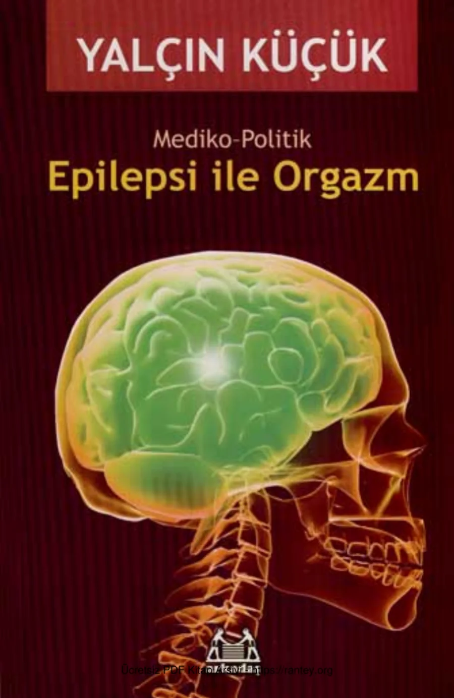 Epilepsi ile Orgazm Arkadaş Yayınları kapak görseli