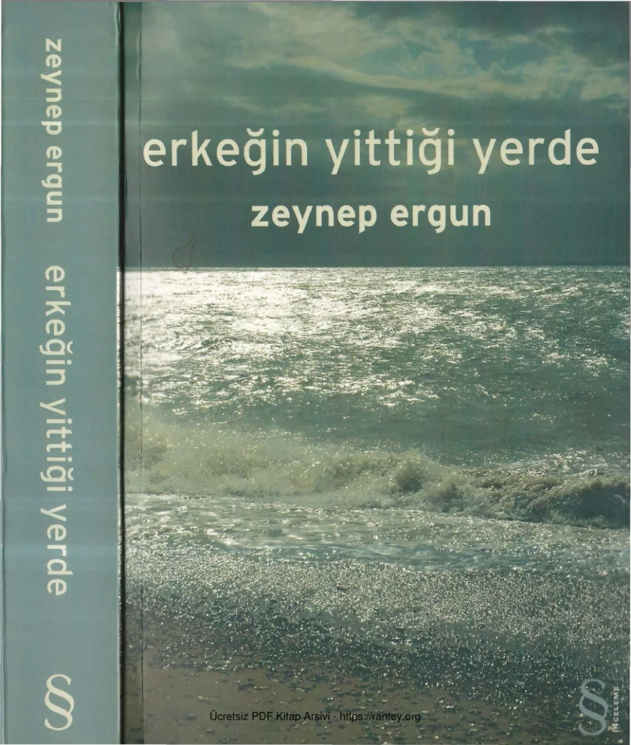 Erkeğin Yittiği Yerde kapak görseli
