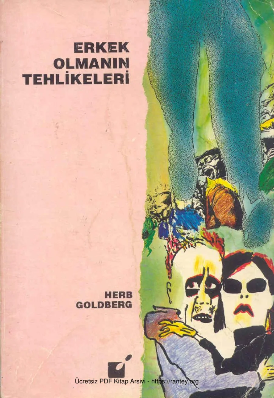 Erkek Olmanın Tehlikeleri kapak görseli