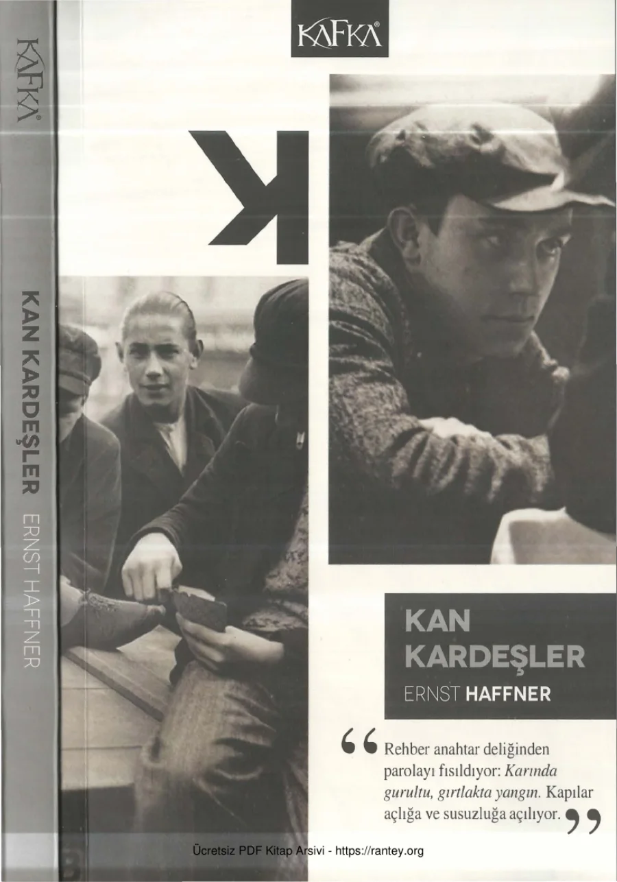 Ernst Haffner Kan Kardeşler kapak görseli