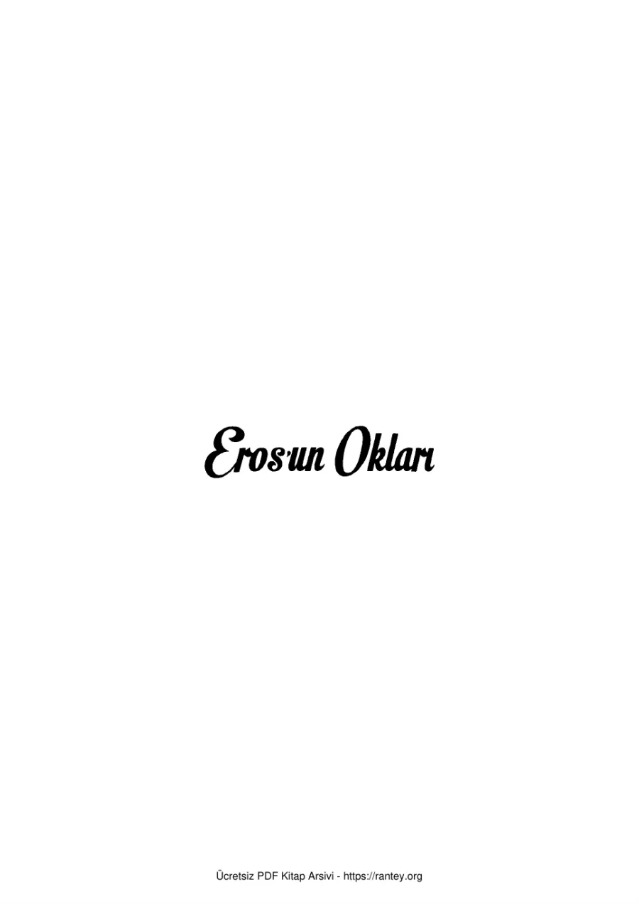 Erosun Okları 1 kapak görseli