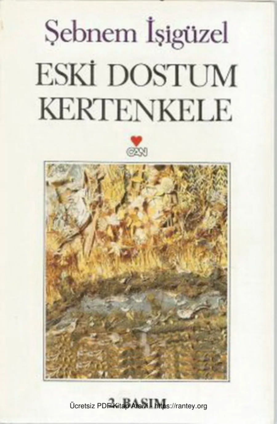 Eski Dostum Kertenkele kapak görseli
